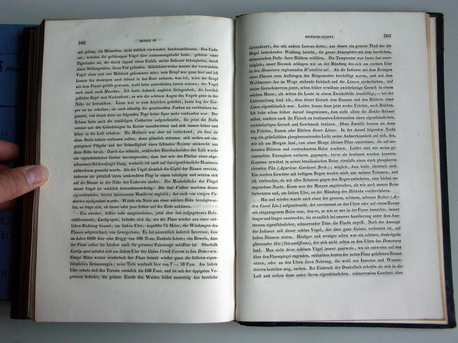 ZZ-RISC48,S.502 Ibis nudifrons